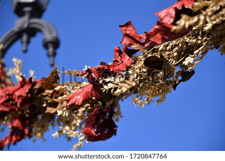Suspended red leaves and flowers for spring celebrations in Murcia, Spain
