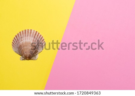 Beautiful big scallop and mermaid shell on yellow and pink geometric background for banners and concepts.