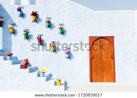 This is a picture of a colorful door with a painted wall. Beautiful flower vase on the wall along with a wooden door makes this image contrast and attractive.