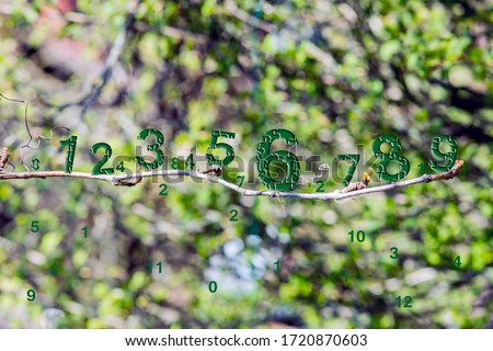 Green numbers are located on the summer branch, numerology
