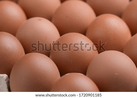 fresh organic egg in paper panel of consume industry