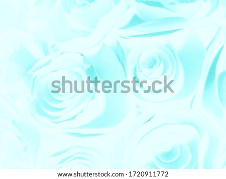 Beautiful abstract color black and blue flowers on white background, white flower frame, blue leaves texture, purple background, blue leaves and blue flowers on black background
