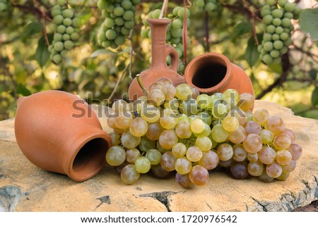 Georgian traditional decorative jugs for wine qvevri or kvevri with grape on the wooden log slice, blurred vineyard background Royalty-Free Stock Photo #1720976542