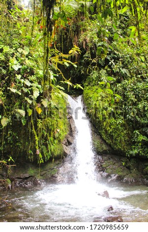 Photograph of a Small Waterfall in the Rainforest with Tropical Green Plants Liana and a Flowing River in a Small Canyon