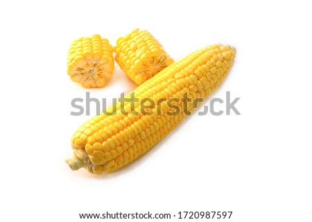 organic fresh corn ears on white background.