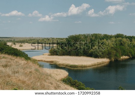 Sunny summer landscape with river
