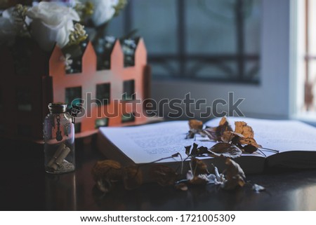 still life at home with book and flower 