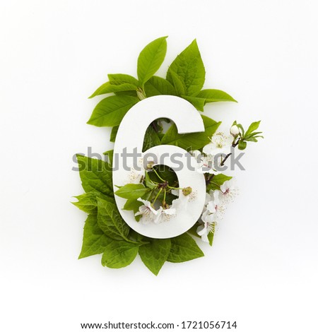Number six with green leaves. Minimal summer concept. Flat lay.
