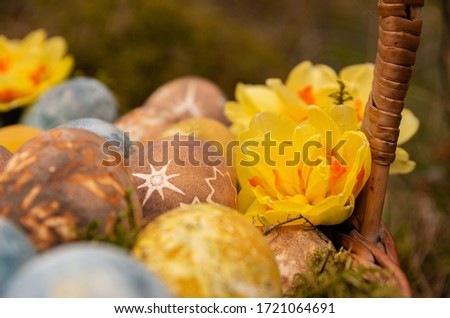 Easter painted eggs with stars and daffodils, food