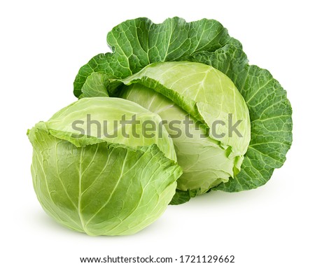 cabbage isolated on white background, clipping path, full depth of field Royalty-Free Stock Photo #1721129662