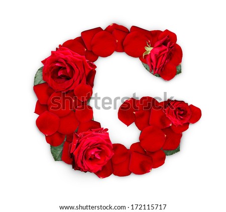 Letter G made from red roses and petals isolated on a white background 