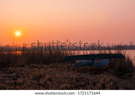 the setting sun on the river with boats on the shore. cattail autumn, reeds on the shore of a pond, autumn day. evening autumn background. in the natural environment. Fall, nature background