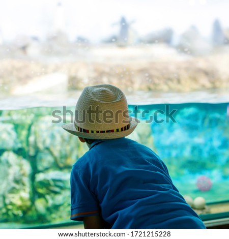 Little kid boy admire different reptiles and fishes in aquarium through the glass in zoo. Happy school child watching and observing animals and reptiles. Family leisure with kids.