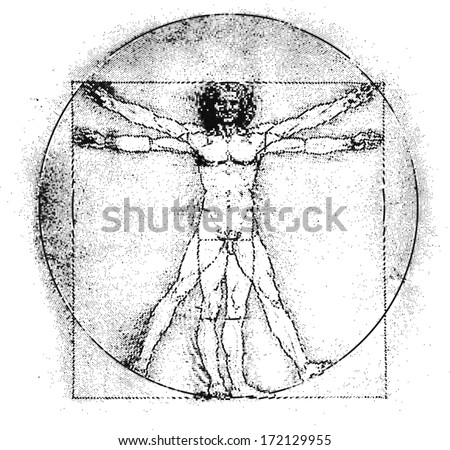 Vetruvian man, human anatomy study by Leonardo da Vinci, line graphic, vector illustration Royalty-Free Stock Photo #172129955