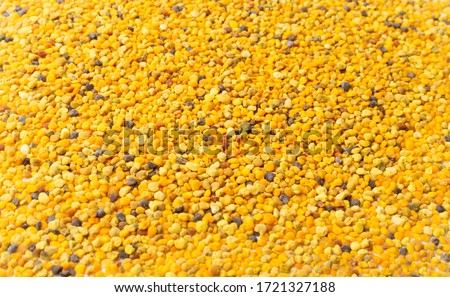 Bee pollen or perga textured background top view. Raw brown, yellow, orange and blue flower pollen grains or bee bread texture pattern. Healthy food supplement Royalty-Free Stock Photo #1721327188