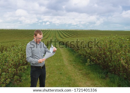 Modern agronomist with folder working on currant field at outdoor