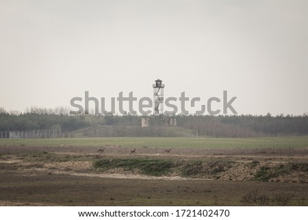 Serbia & Hungary border between Kelebia & Tompa, with a watchtower the Hungarian border fence and deers running. This wall was built in 2015 to stop the refugees passing through Serbia & Balkans Route Royalty-Free Stock Photo #1721402470