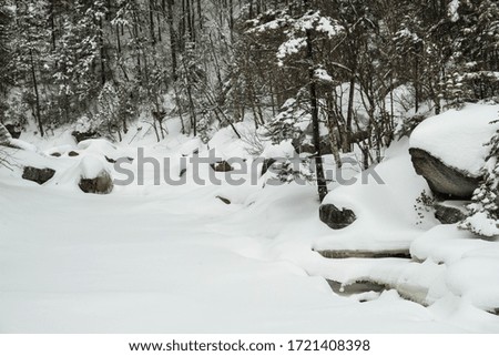 Frozen snow covered pond in a forest