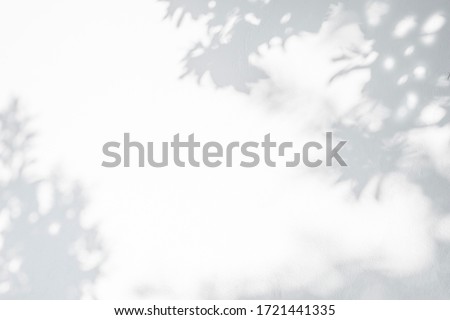 Leaves shadow and tree branch background.  Natural leaves tree branch dark shadow and light from sunlight dappled on white wall texture for background wallpaper and any design Royalty-Free Stock Photo #1721441335
