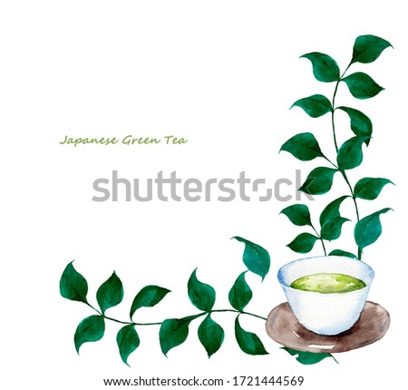 watercolor illustration of green tea