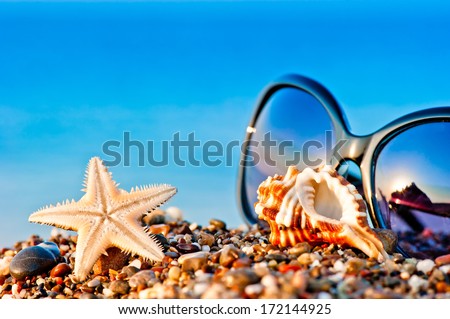 sunglasses and marine life on the beach Royalty-Free Stock Photo #172144925