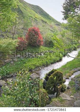 Rural scene with Old green fairytail watermill wheel overgrown with green moss, river flows in background, nature of Kyushu