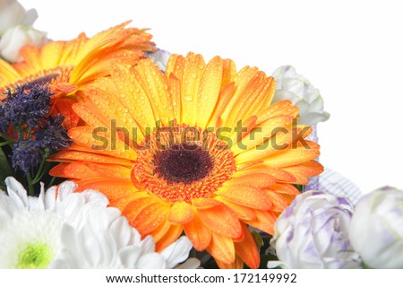 a photo of flowers over white