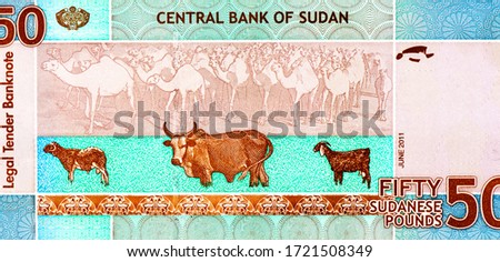 Portrait from Sudan 50 Sudanese Pounds 2011 Banknotes. 