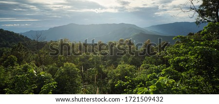 Beautiful landscape of mountain view and tropical rain-forest at sunset time with golden sunlight. Concept of green natural virgin forest. Royalty-Free Stock Photo #1721509432