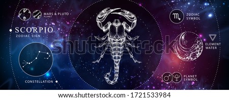 Modern magic witchcraft card with astrology Scorpio zodiac sign. Realistic hand drawing scorpion illustration. Zodiac characteristic Royalty-Free Stock Photo #1721533984