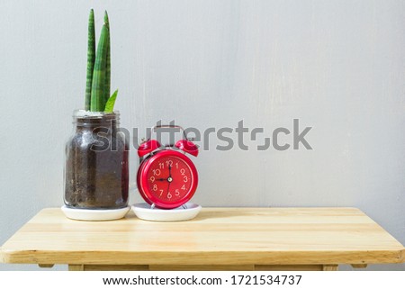 Sansevieria cylindrica and Clock in pot on white background