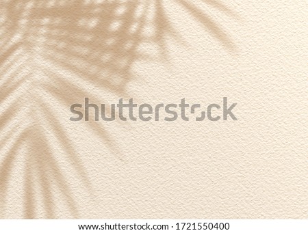 Brown cream clay mud grunge cement texture wall leaf plant shadow background.Summer tropical travel beach with minimal concept. Flat lay palm nature. Royalty-Free Stock Photo #1721550400