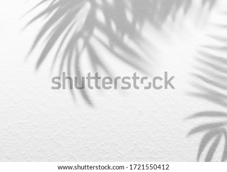 White gray grunge cement texture wall leaf plant shadow background.Summer tropical travel beach with minimal concept. Flat lay palm nature. Royalty-Free Stock Photo #1721550412