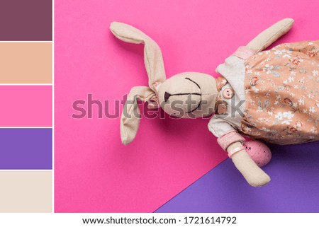 Easter bunny on bright pink and purple background. Holiday flat lay. Color swatch