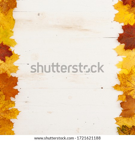 Maple leaves of different colors lie on the table. Frame of autumn leaves. Copy space inside