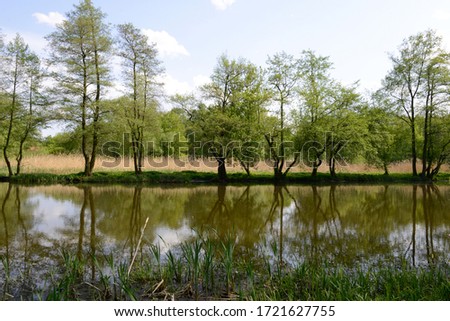 Park and River in Konstancin-Jeziorna