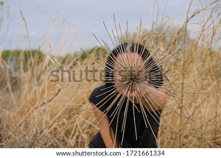 Dry umbrella stem of a Giant hogweed in a woman's hand. Inflorescence covers the face. Woman in black on gold dry grass background.