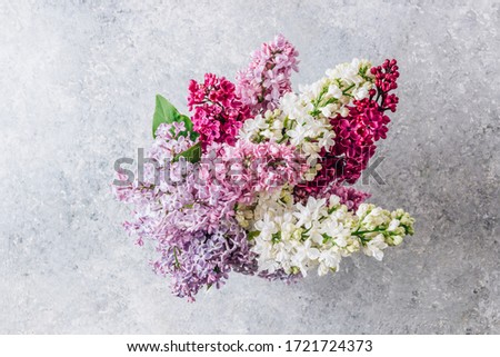 Bunch of white and purple lilac flowers on a gray background. Spring time. Vase with lilac. Top view. The concept of holidays and good morning wishes.