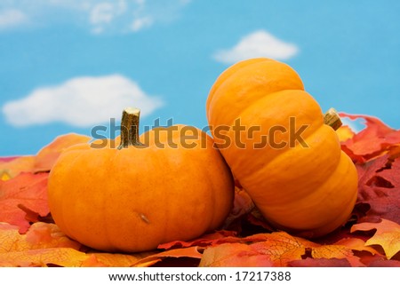 Fall leaves with pumpkin on sky background, fall harvest