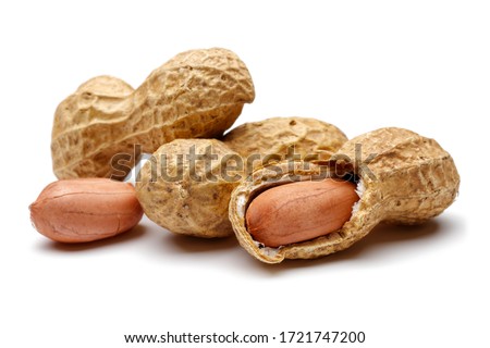Peanut isolated on white background, macro shot Royalty-Free Stock Photo #1721747200