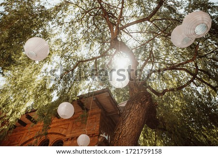 photo of paper light outdoor in a garden