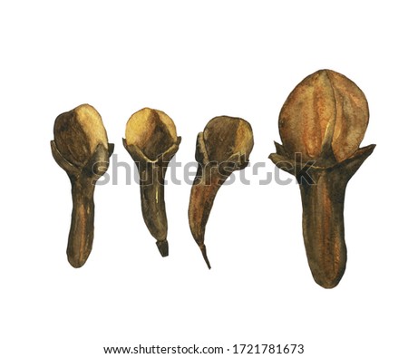 Watercolor set of clove spice isolated on white background. Brown dried clove bud for cooking, medicine. Syzygium aromaticum. Hand drawn illustration. Clip art of four elements.