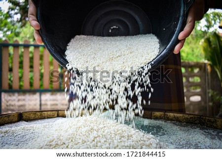 A poor Asian farmer collected rice in a container in the morning to eat when he was hungry and needed help from the world. Take pictures with close-up techniques. 