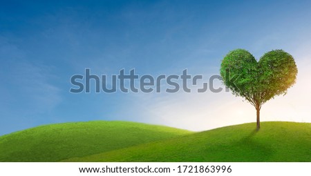 Green mountain with heart shape tree under blue sky. Beauty nature,for good environment.