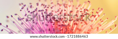 abstract background for web banners with space for text. HD Image and Large Resolution. can be used as wallpaper