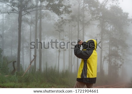 Tourists are taking pictures in natural pine forest during the rainy season. Travel and hiking concept