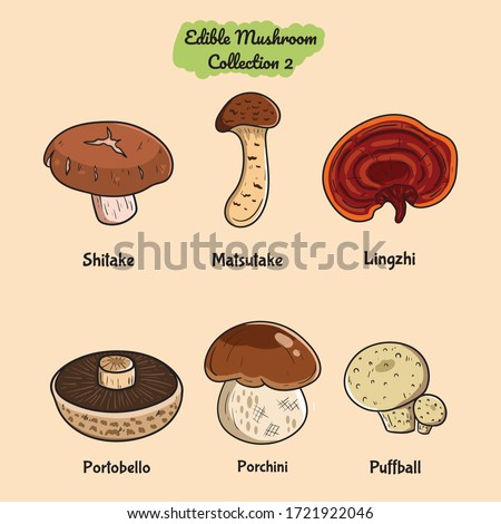 set of edible mushroom vector hand-drawn Royalty-Free Stock Photo #1721922046