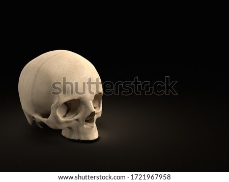 3d render of side view of upper half of human skull on black background