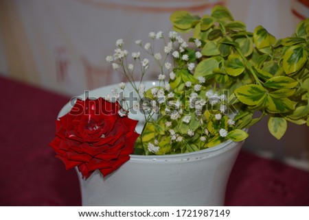 decorative red rose in white vase