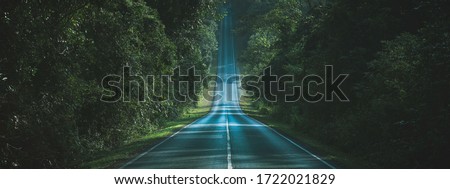 Path way through the autumnal forest natural way concept, road to the tropical forest nature field, relaxing with ecological environment, use for spa and freedom lifestyle concept Royalty-Free Stock Photo #1722021829